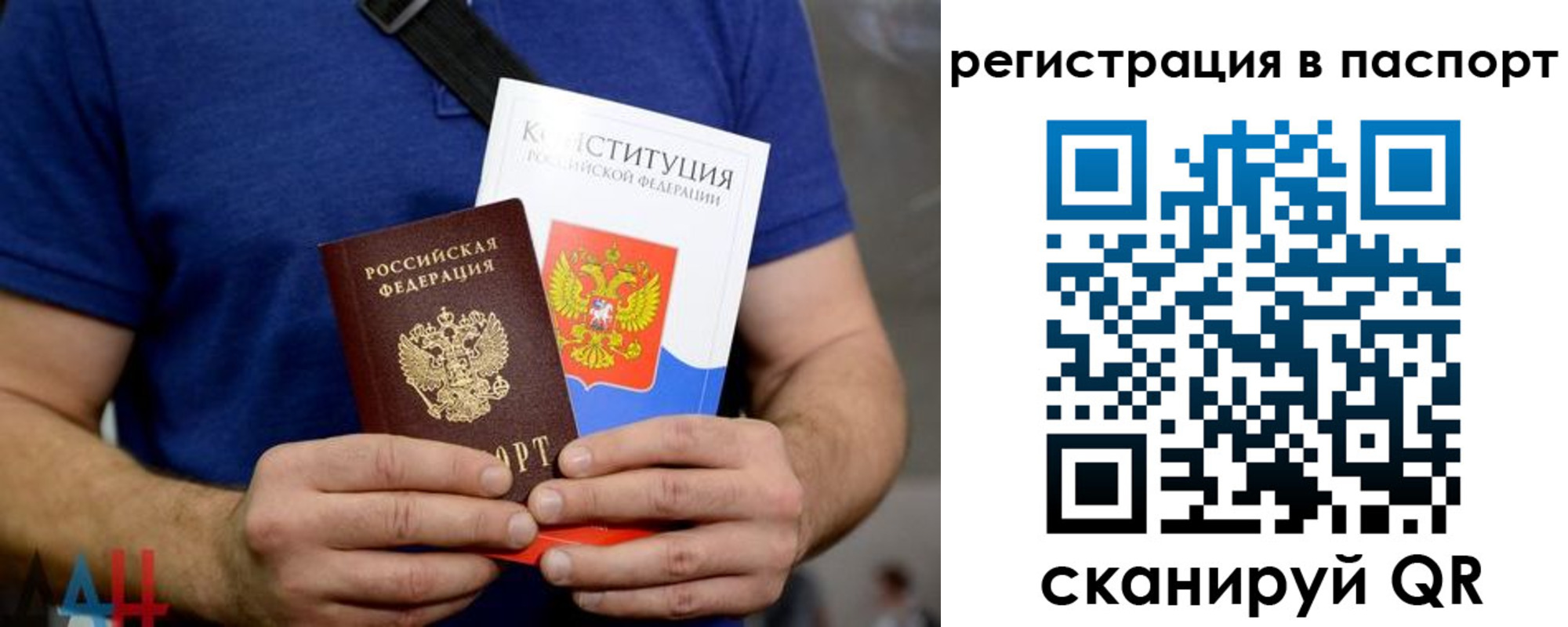 прописка гарантия в Цимлянске